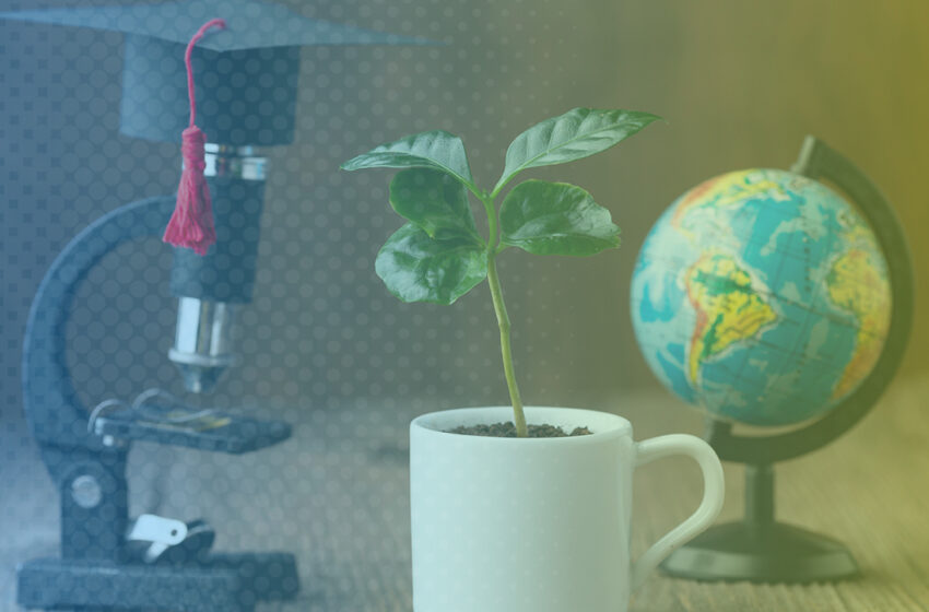 Environment & Sustainability Excellence – Expert Level (Level 7)