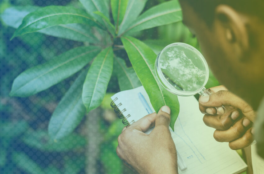 Postgraduate Program in Environment & Sustainability Management