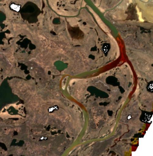 HOW DIFFERENT PARTS OF THE ECOSYSTEM RESPOND