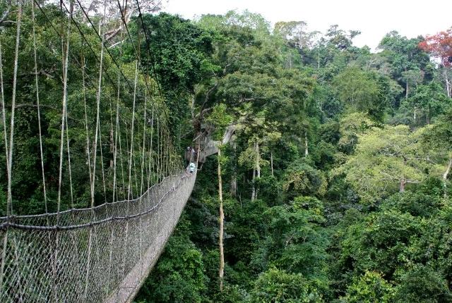 Gabon A Model Of Environmental Conservation.