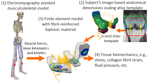 Material Simulations