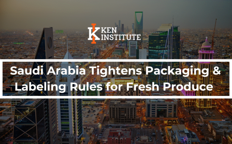  Hydrogen Strategies in the MENA Region: Paving the Way for a Low-Carbon Future